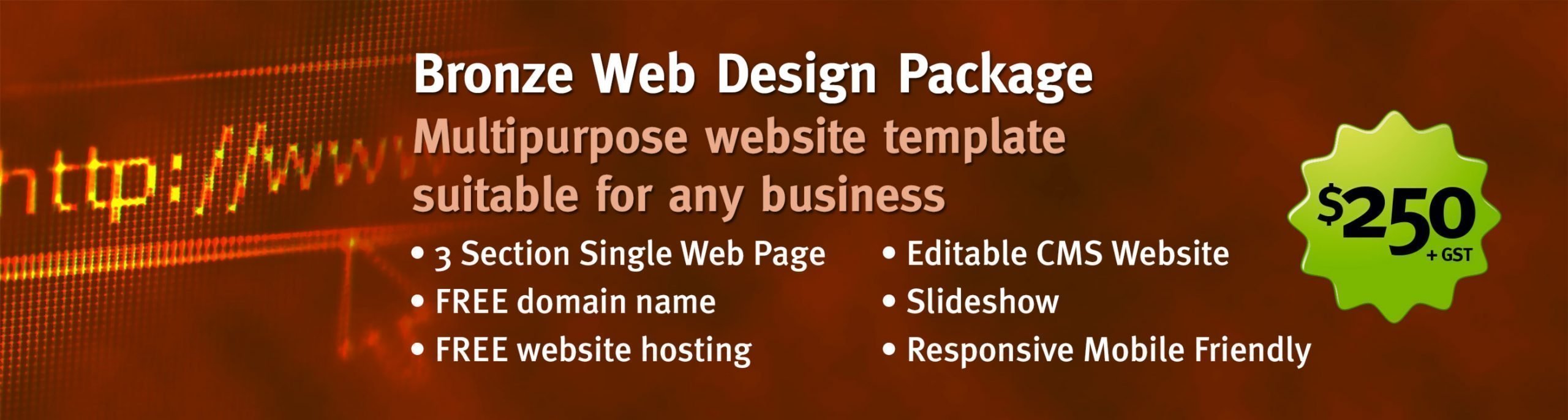 website design bronze package scaled
